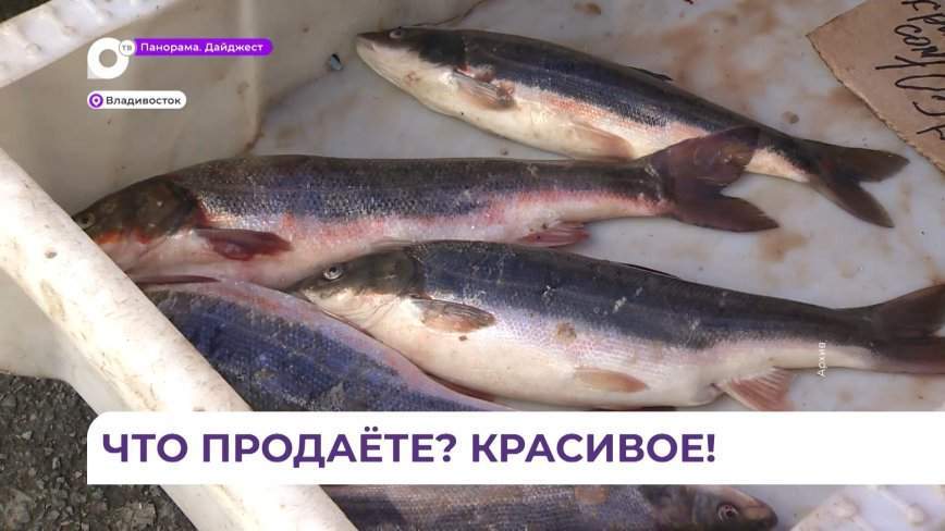 Более 200 приморских производителей представят продукцию на общегородской продовольственной ярмарке