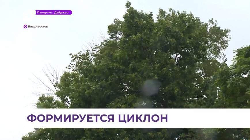 В связи с предстоящим ухудшением погоды в Приморье объявлено штормовое предупреждение