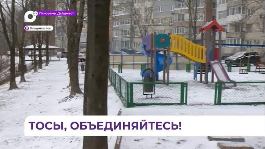 Дворовые территории могут благоустроить по конкурсу грантов для ТОС в Приморье