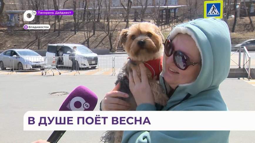 Блицы. Весеннее настроение