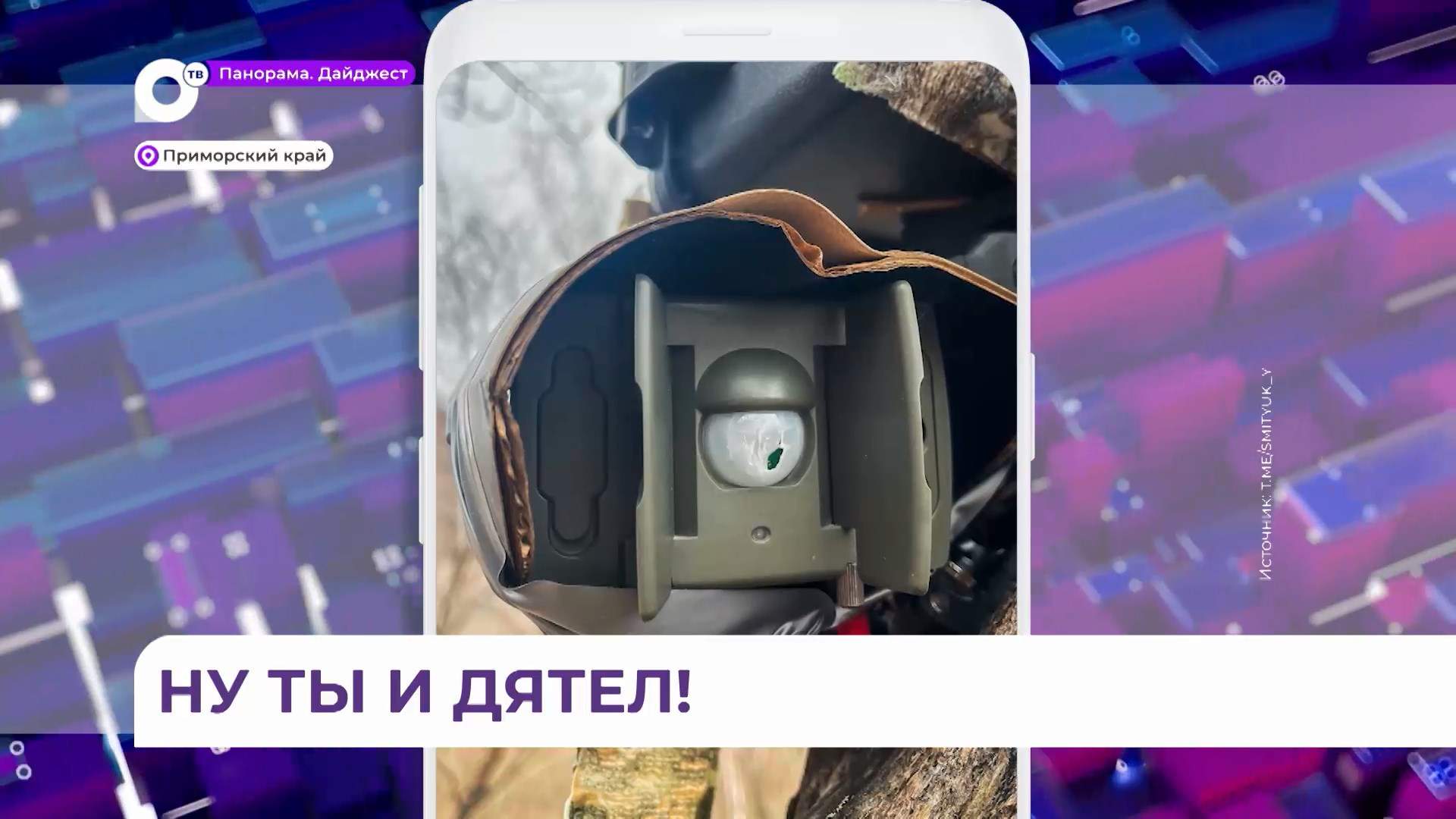 Заядлый хулиган держит в страхе заповедные места в Приморье 