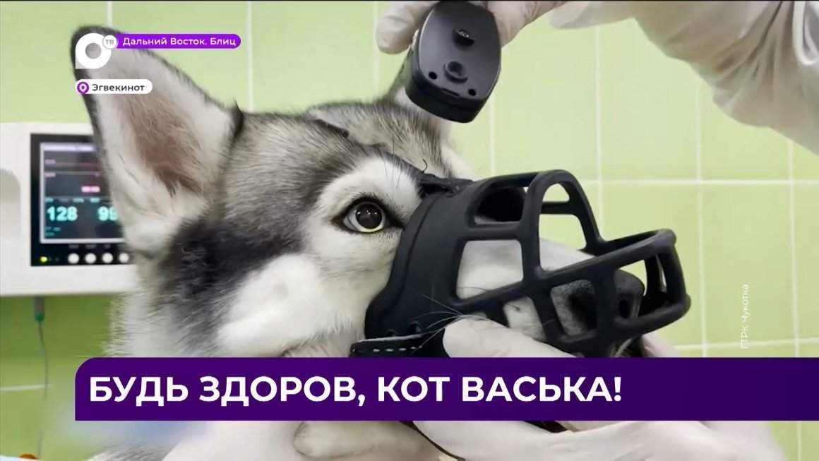 Дальний Восток Блиц / 14.12.22