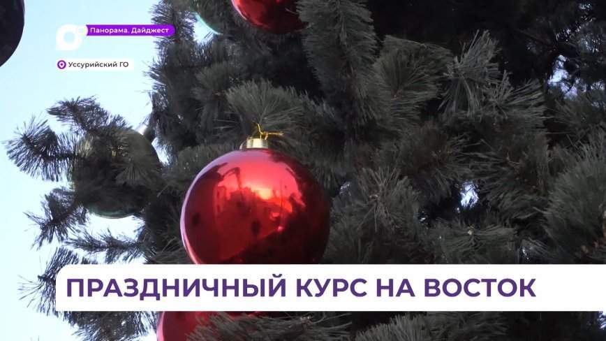 В Уссурийске устанавливают сразу две новогодних ели