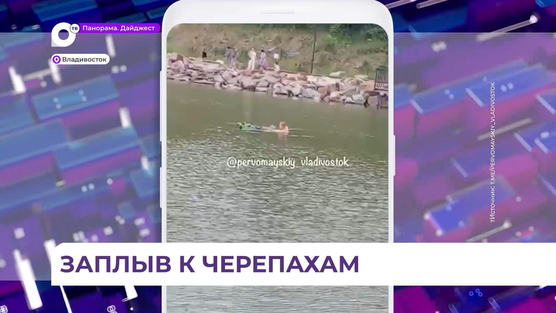 Житель Владивостока в жару освежился в озере на Сафонова вместе с черепахами