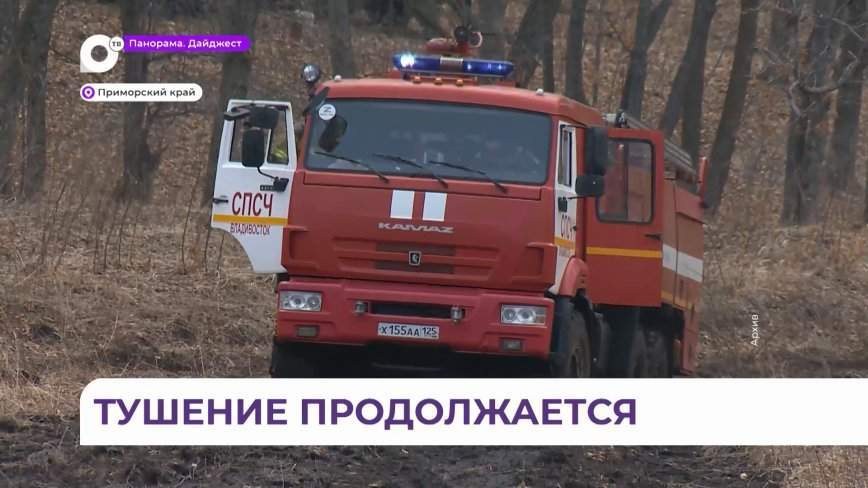 Более ста гектаров приморских лесов потушили за сутки