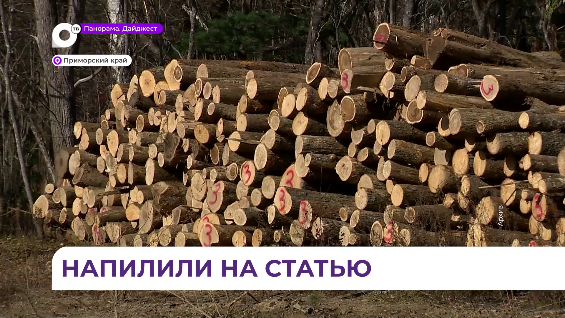 «Чёрные лесорубы» предстанут перед судом в Приморье
