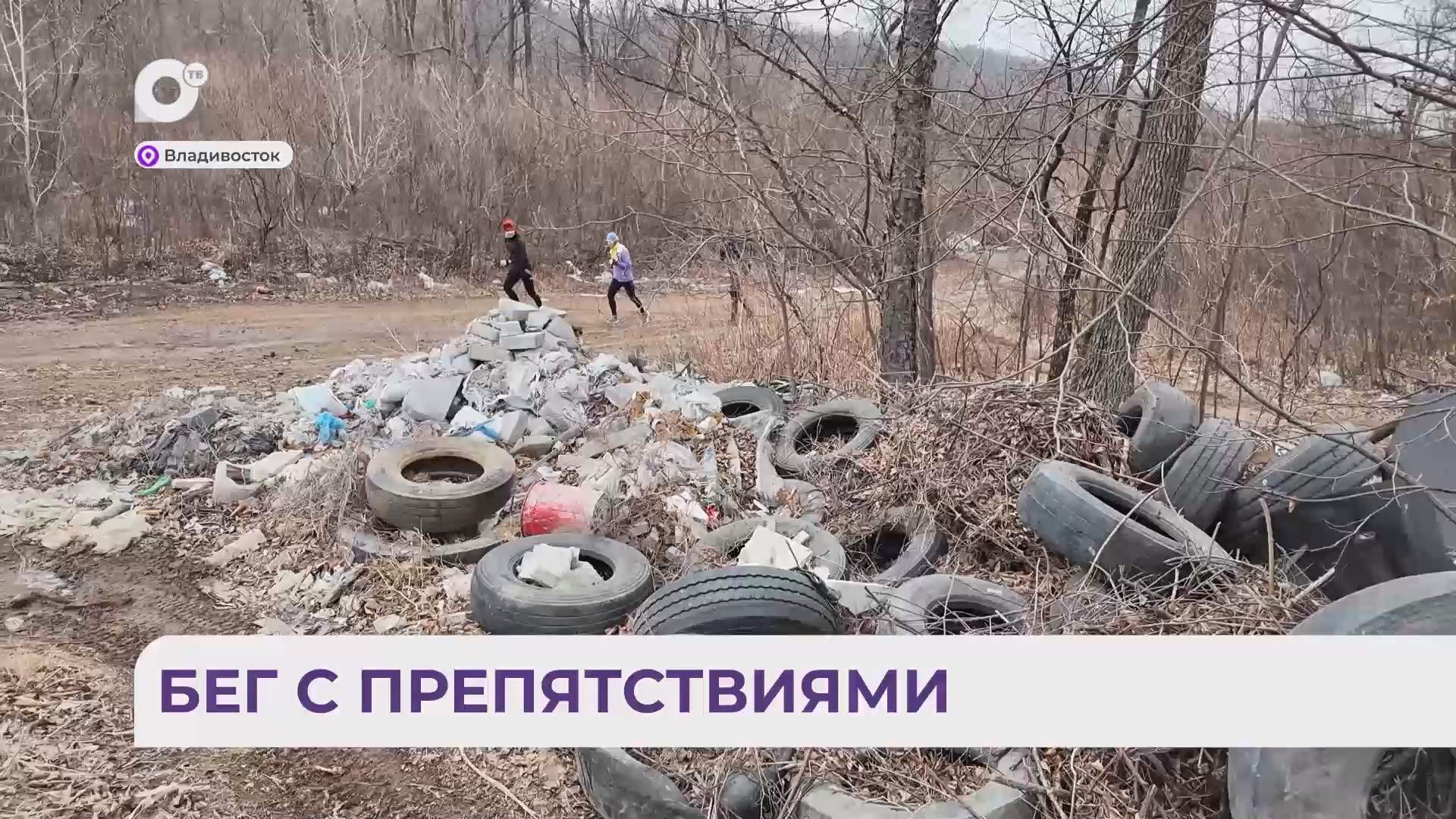 Без комментариев / Свалка на Филиппова / 17.03.26