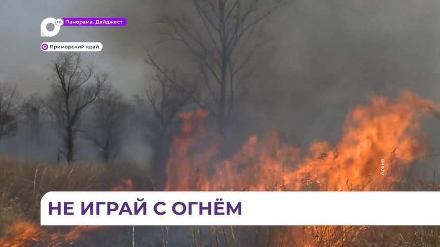 14 лесных и природных пожаров ликвидировали в Приморье