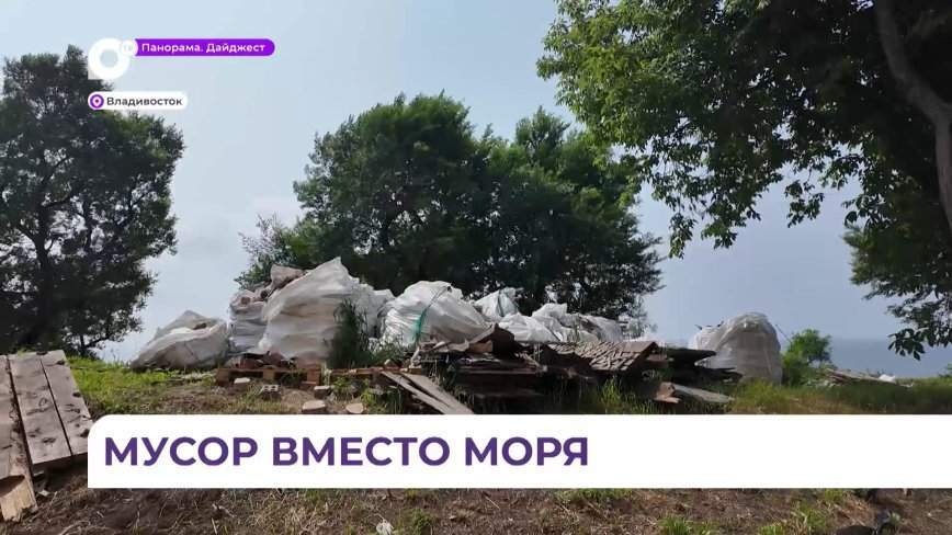 Мусор занял внушительную часть скверика с видом на море на Эгершельде