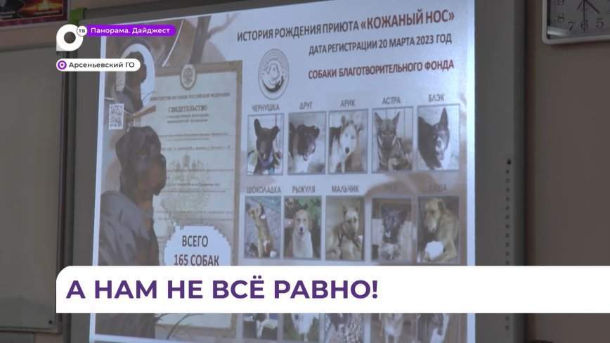 Конференция среди школьников «Ступени к успеху» проходит в Арсеньеве