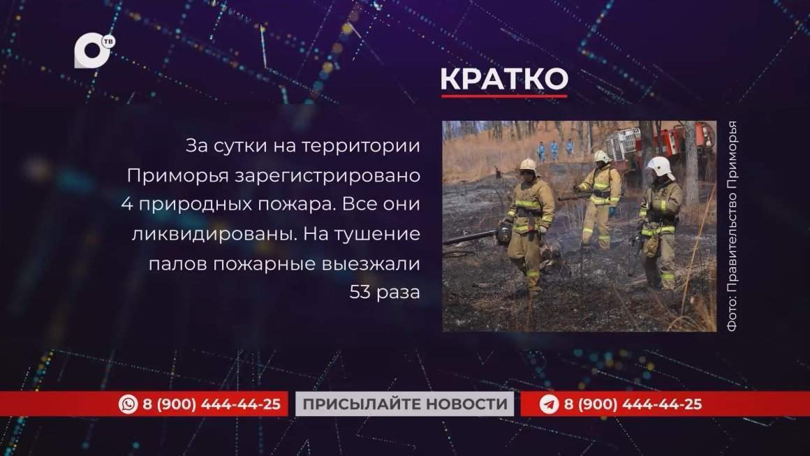 Кратко / 11.03.25 / Вечер