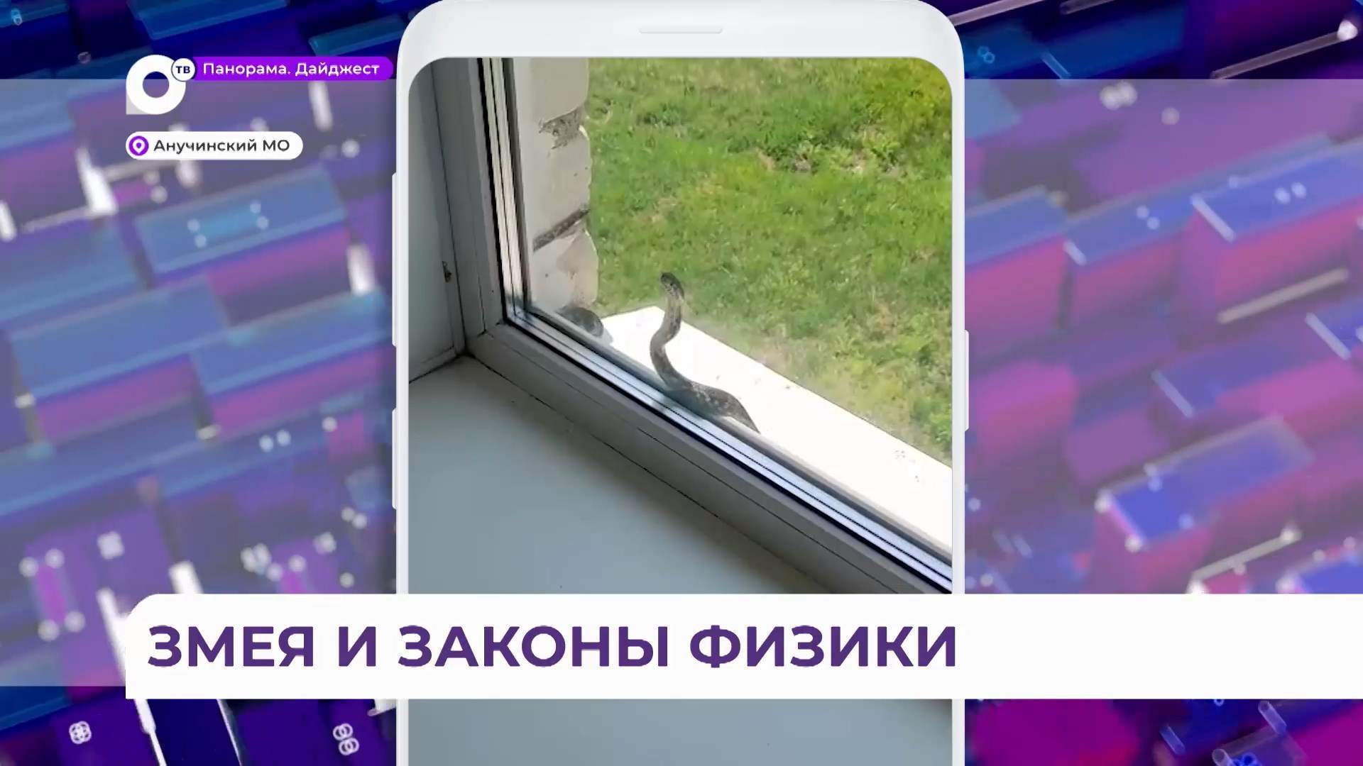 За знаниями в школе села Виноградовка Приморского края тянутся не только дети, но и змеи