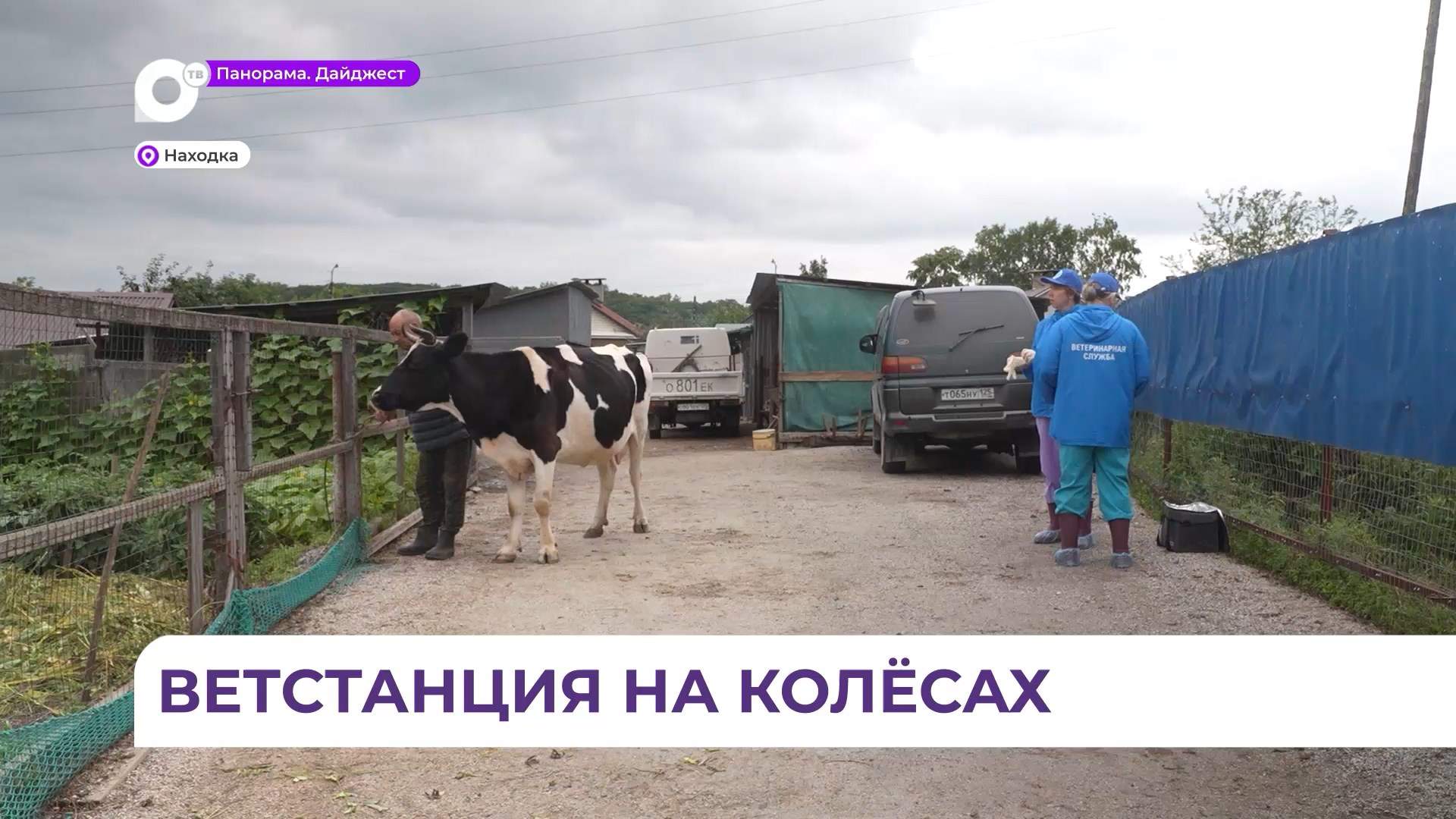 Находкинская ветстанция на колёсах обеспечивает безопасность сельхозживотных 