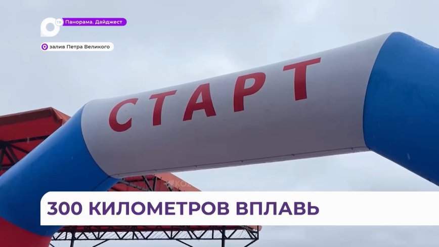 Старт эстафетному заплыву «Россия, вперед» дал губернатор Приморья Олег Кожемяко