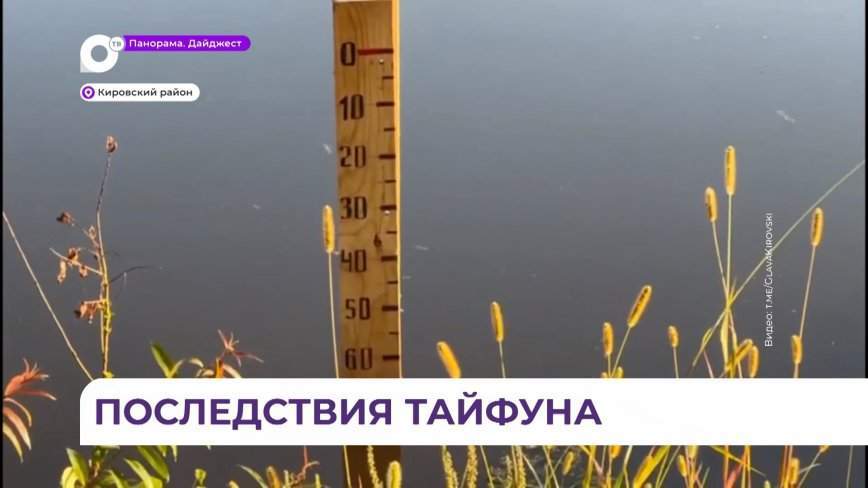 Дамбу продолжают укреплять в Кировском районе Приморья
