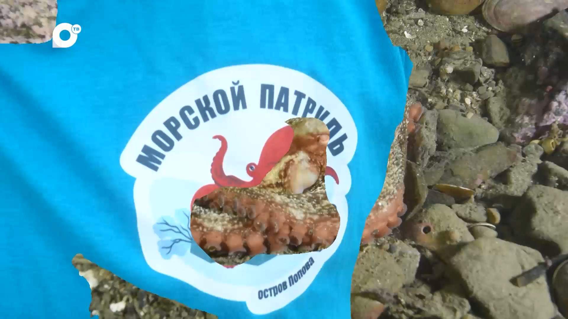 Морская / Живая тайга – живое море / 07.08.25 