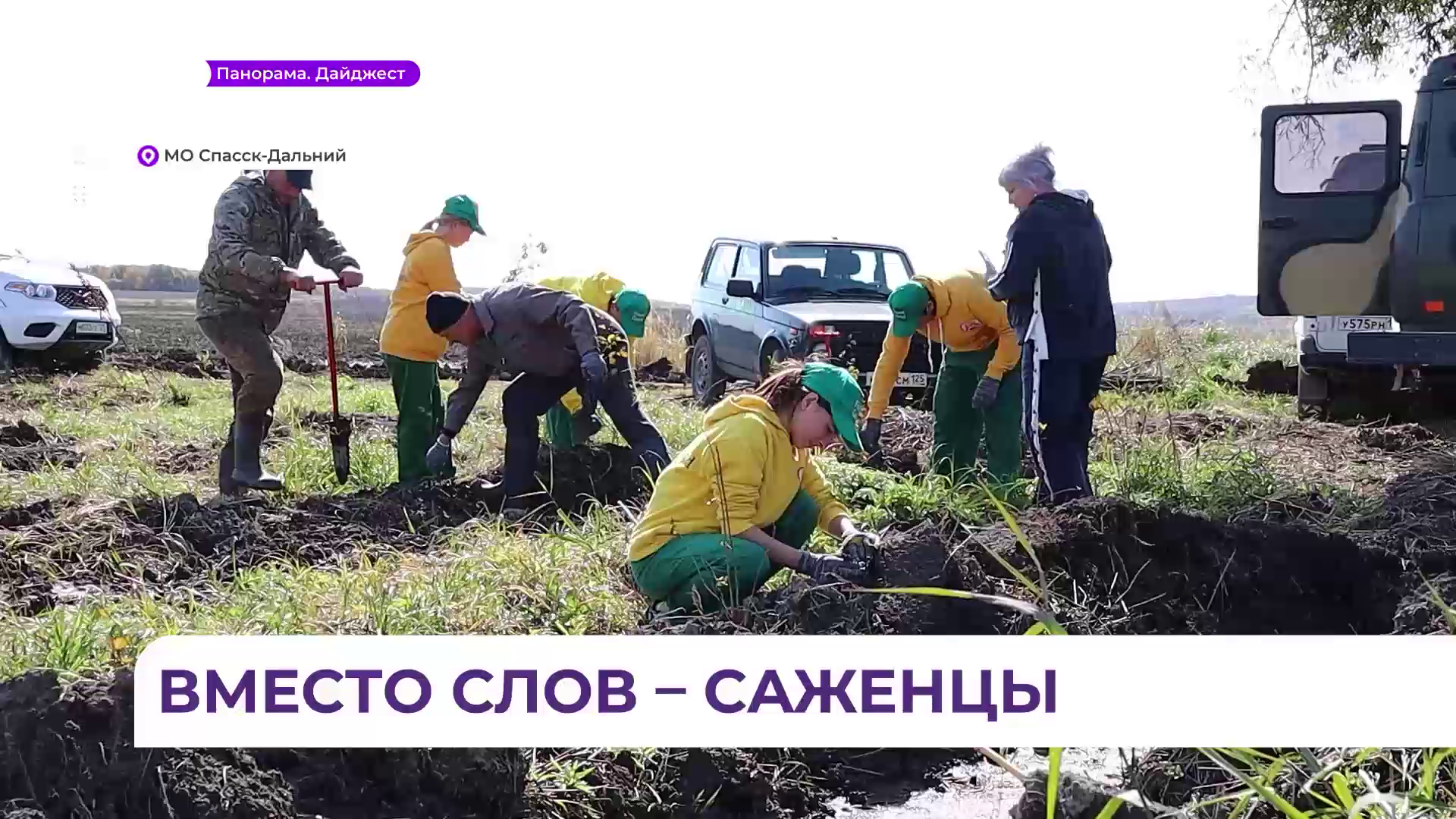 В муниципальном округе Спасск-Дальний стало на 20 тысяч деревьев больше