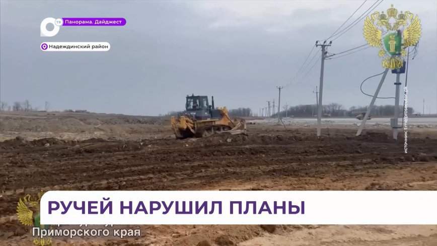 Решилась судьба авторынка в Надеждинском районе