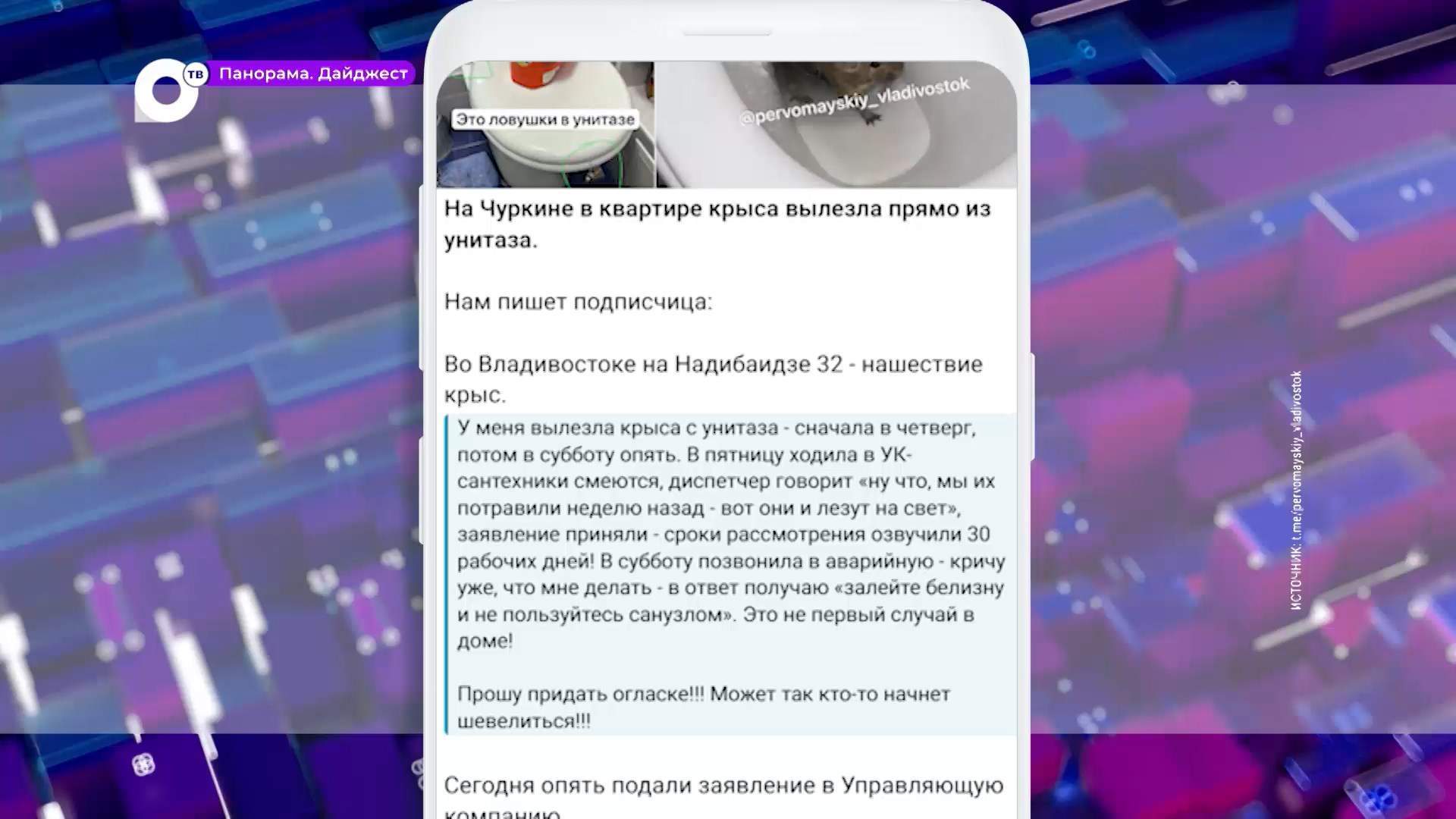 Жители гостинок во Владивостоке живут в страхе: крысы лезут из санузла 