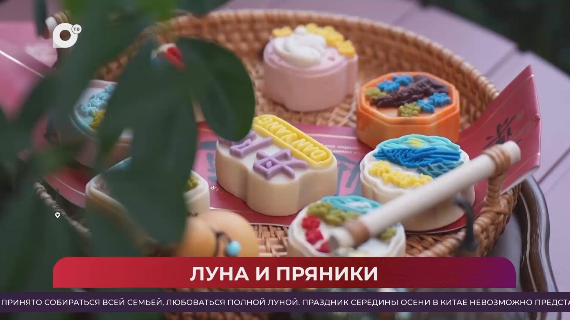 Китайская шкатулка / Как приграничные города Китая привечают российских туристов / 26.09.26