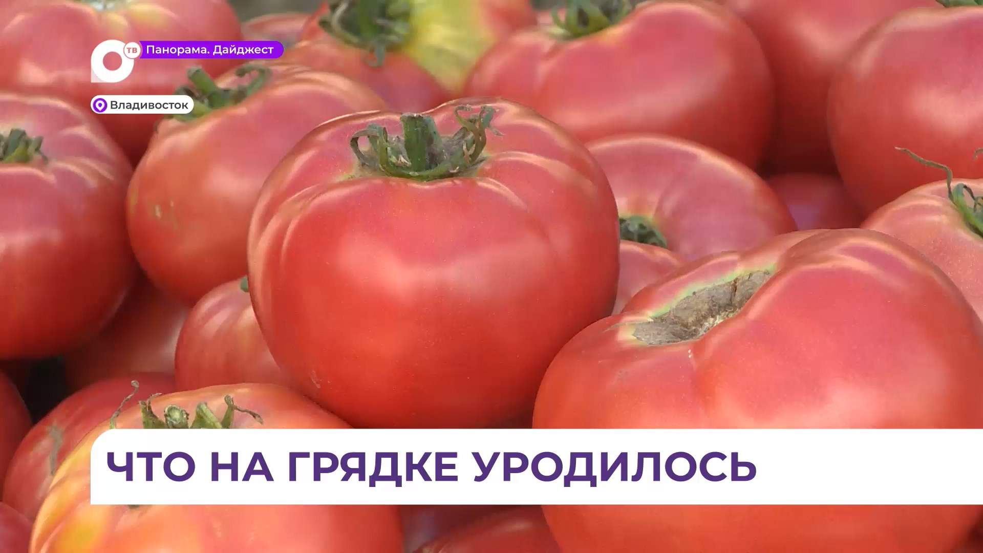 На ярмарке во Владивостоке нет отбоя от желающих попробовать местный урожай