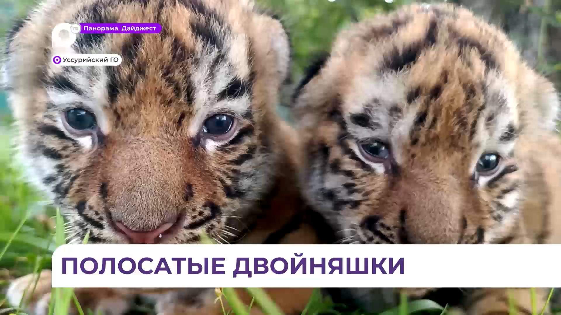 В Уссурийском зоопарке появились новые маленькие питомцы