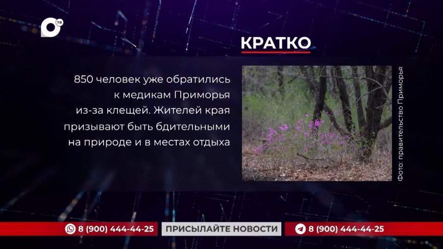 Кратко. 03.05.24 (Вечер)