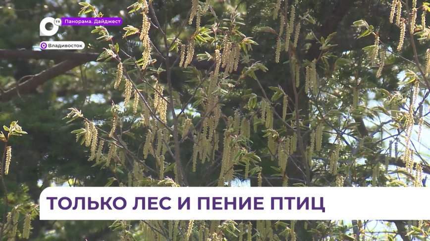 В Ботаническом саду началась реконструкция экологической тропы