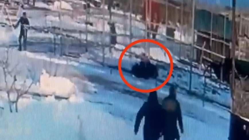Лев напал и порвал женщину в Приморье