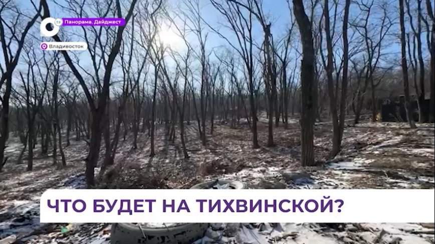 Жители улицы Тихвинской во Владивостоке боятся лишиться местной лесопарковой зоны