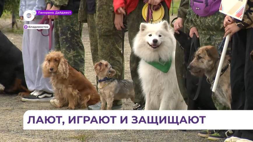 Управлять животным и быть с ним на «одной волне» учат в кинологическом центре Владивостока