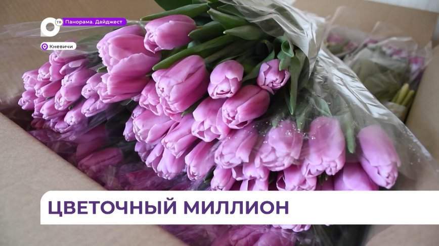 Миллион бутонов декоративной зелени и горшечных растений поступил в Приморье