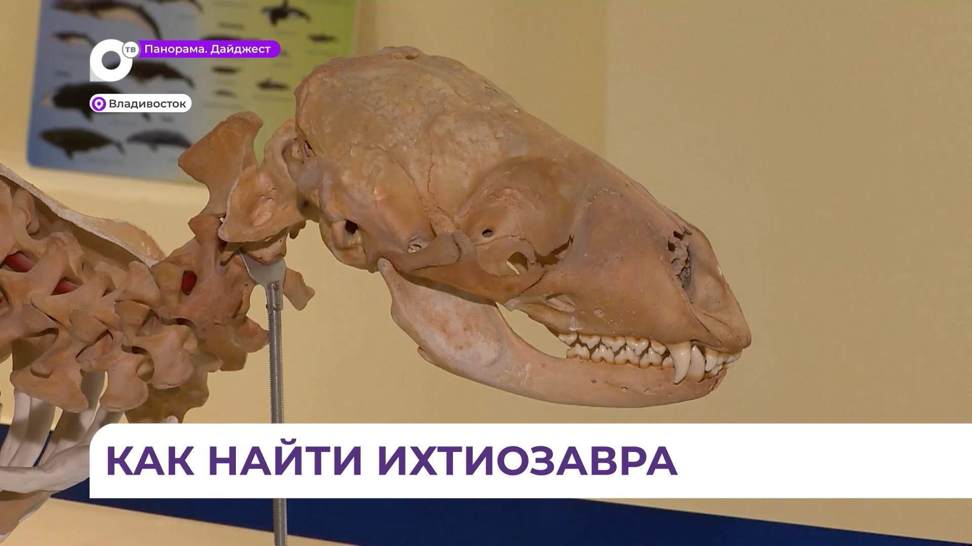 Интересующихся динозаврами приглашают на удивительную выставку во Владивостоке