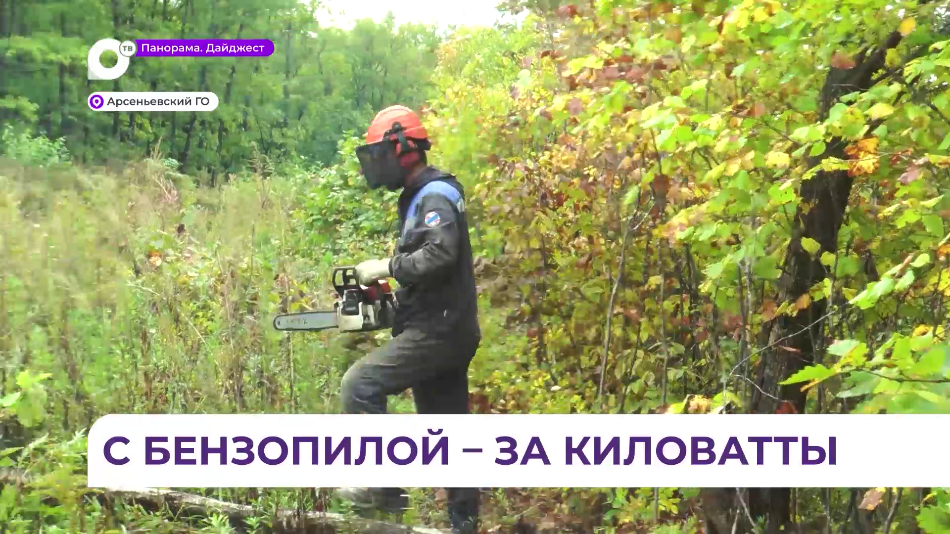 В Приморье энергетики массово расчищают лесные полосы вдоль высоковольтных линий