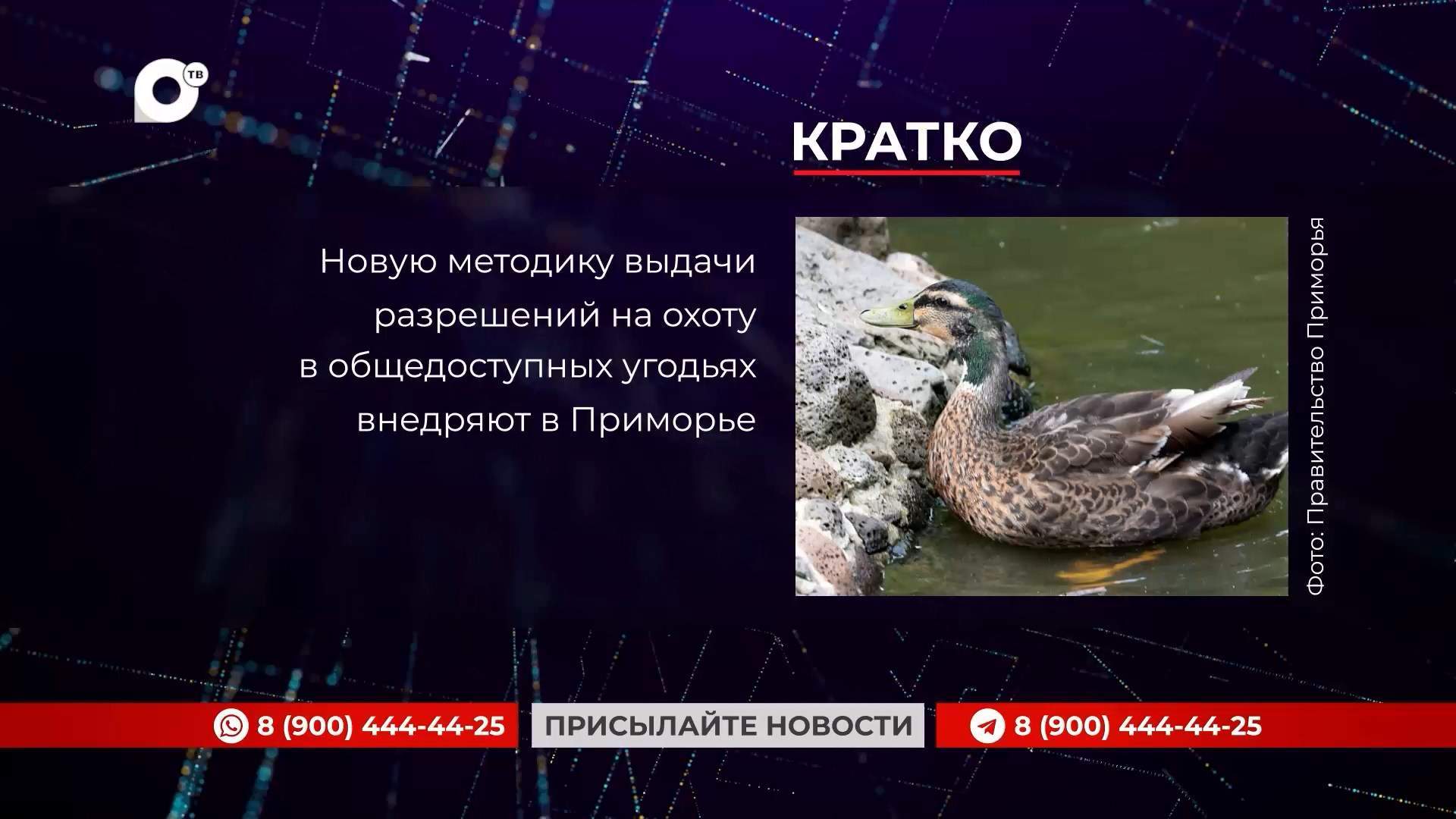 Кратко / 04.08.25 / Вечер 