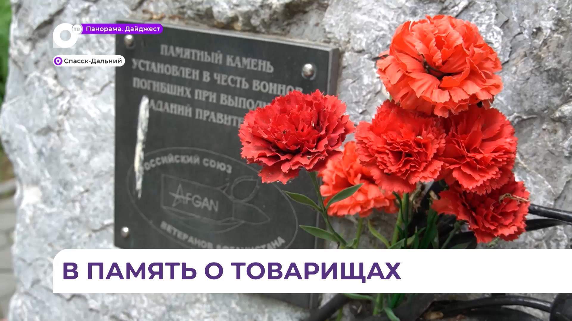 Мемориальные мероприятия прошли в Спасске-Дальнем в День ветеранов боевых действий