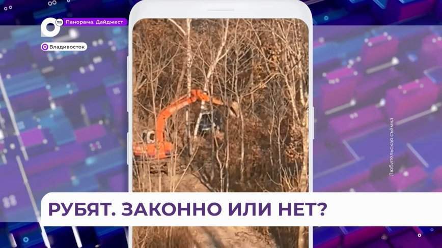 Во Владивостоке на Садгороде рубят лес без разрешения администрации