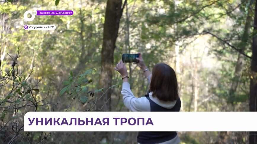 Чистый воздух и реликтовый лес. Экотропа близ села Каменушка привлекает множество туристов
