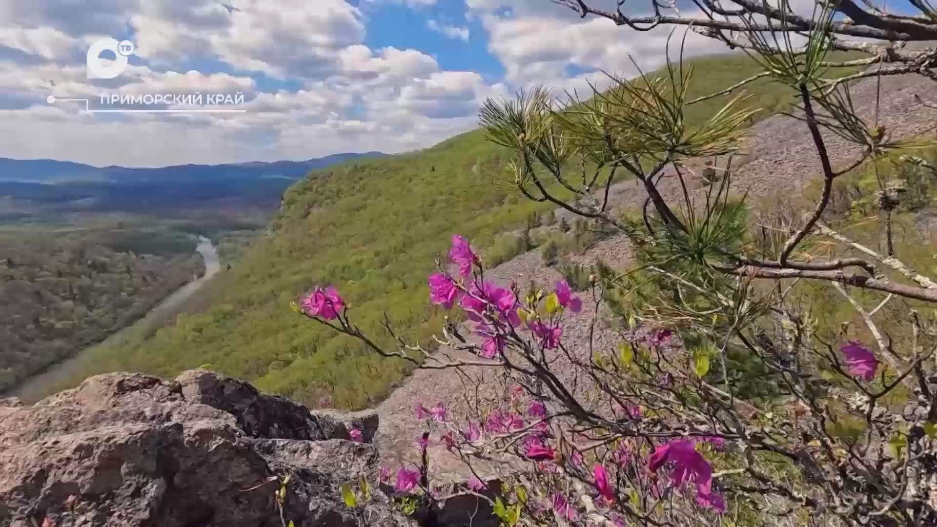 Разведка блогом / Ущелье Дарданеллы / 04.08.26