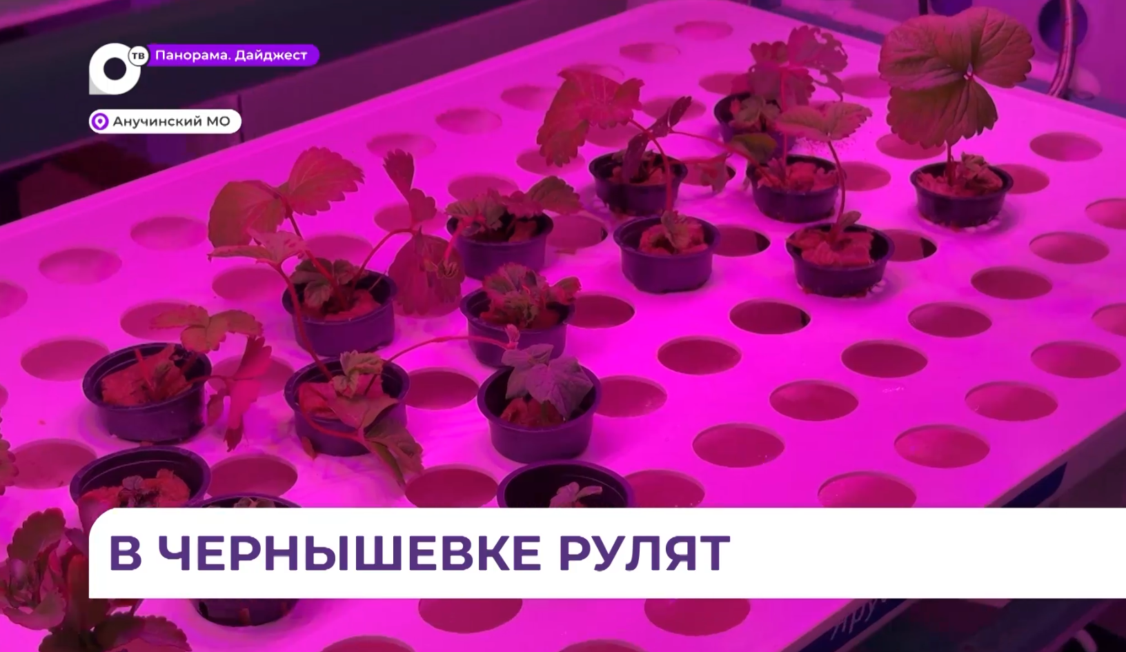 Ученики школы в селе Чернышевка освоят сельхозпрофессии в современных агротехклассах