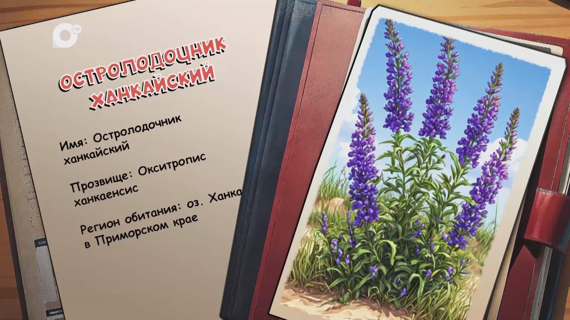 Агент биосферы / Остролодочник ханкайский / 08.10.25м