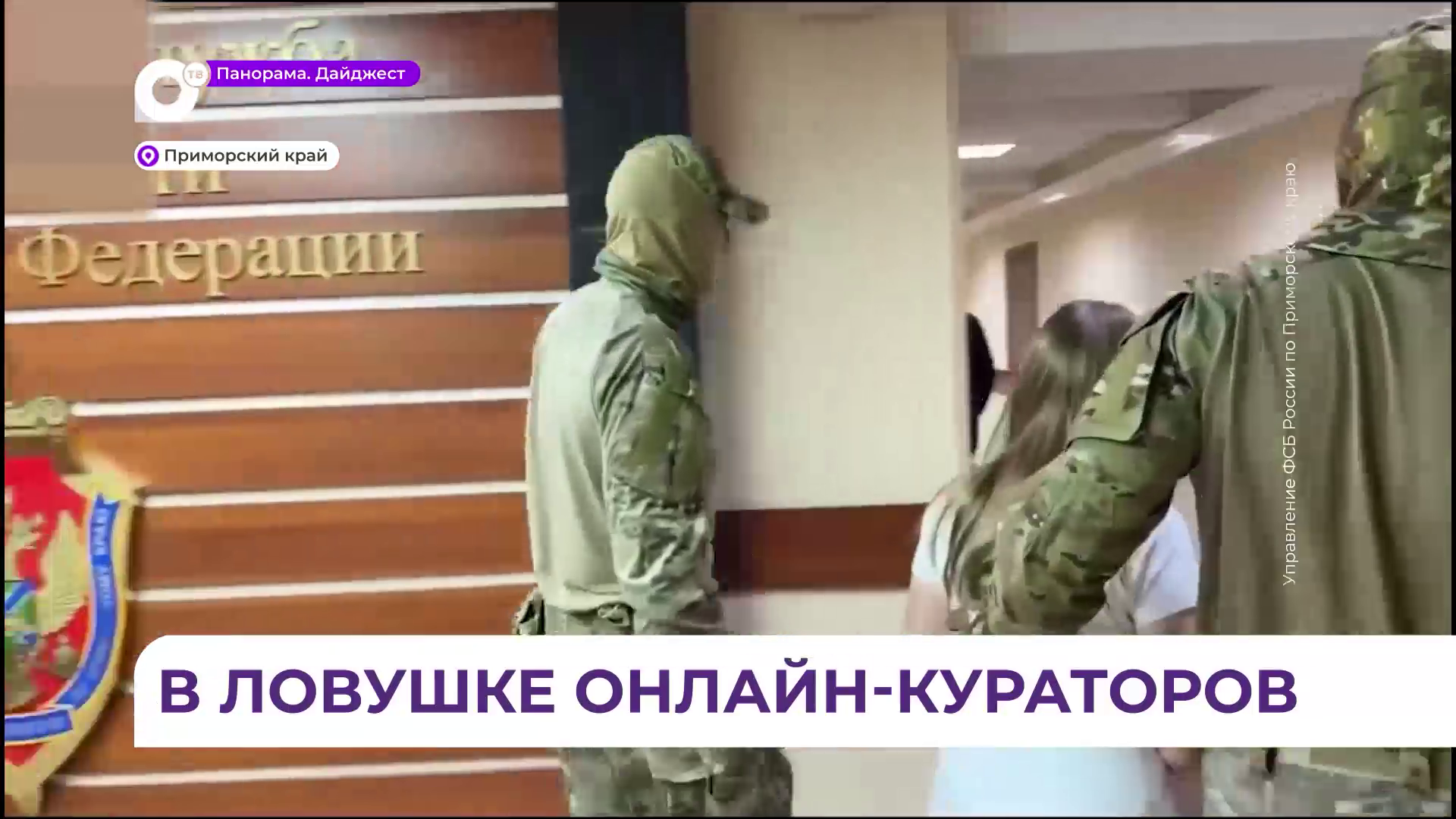 22-летнюю жительницу Большого Камня задержали в Приморье за госизмену