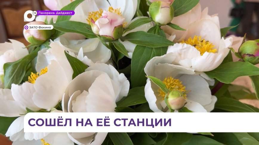 Почётный знак «Семейная доблесть» получила супружеская пара из Приморья
