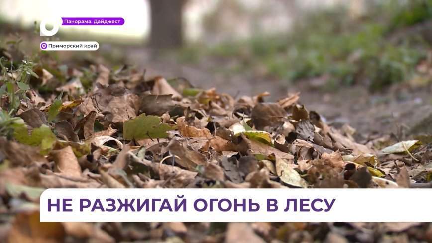 Простой шашлык может обойтись очень дорогой ценой приморцам