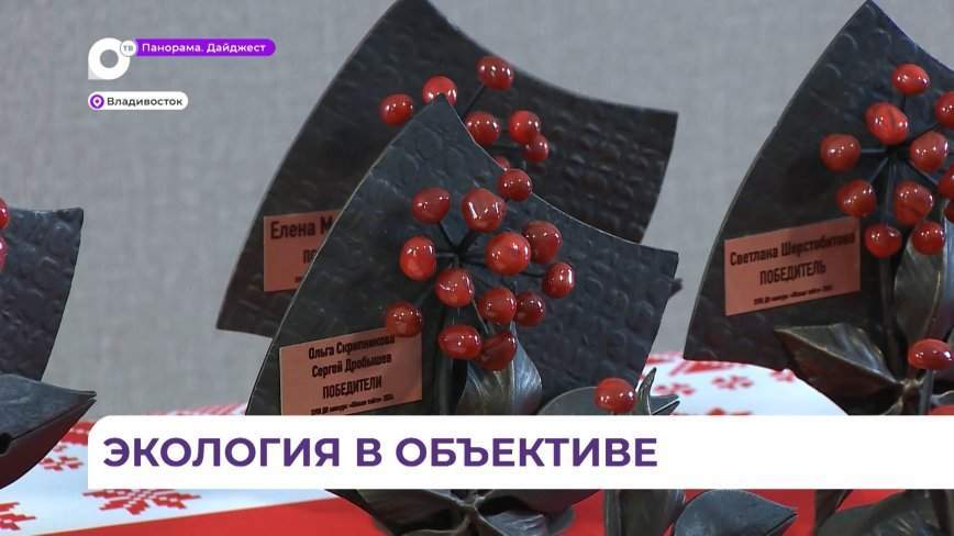 Итоги конкурса «Живая тайга» экологической журналистики подвели во Владивостоке