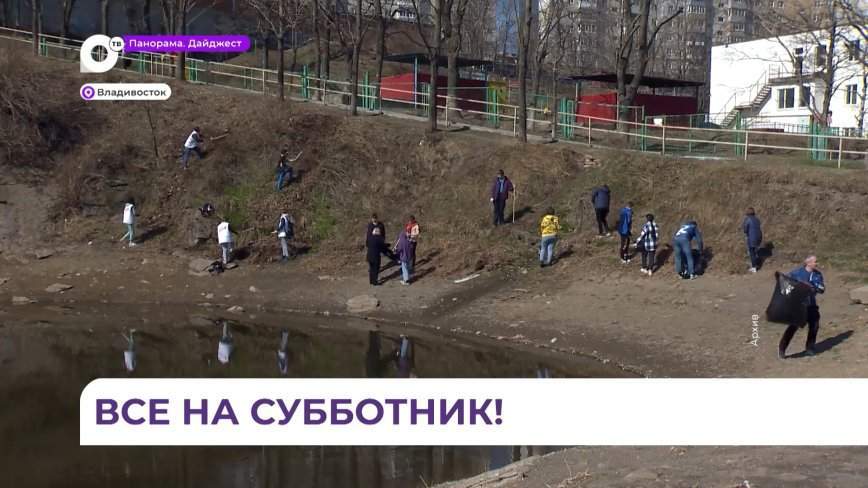 Олег Кожемяко пригласил жителей Приморья на общекраевой субботник