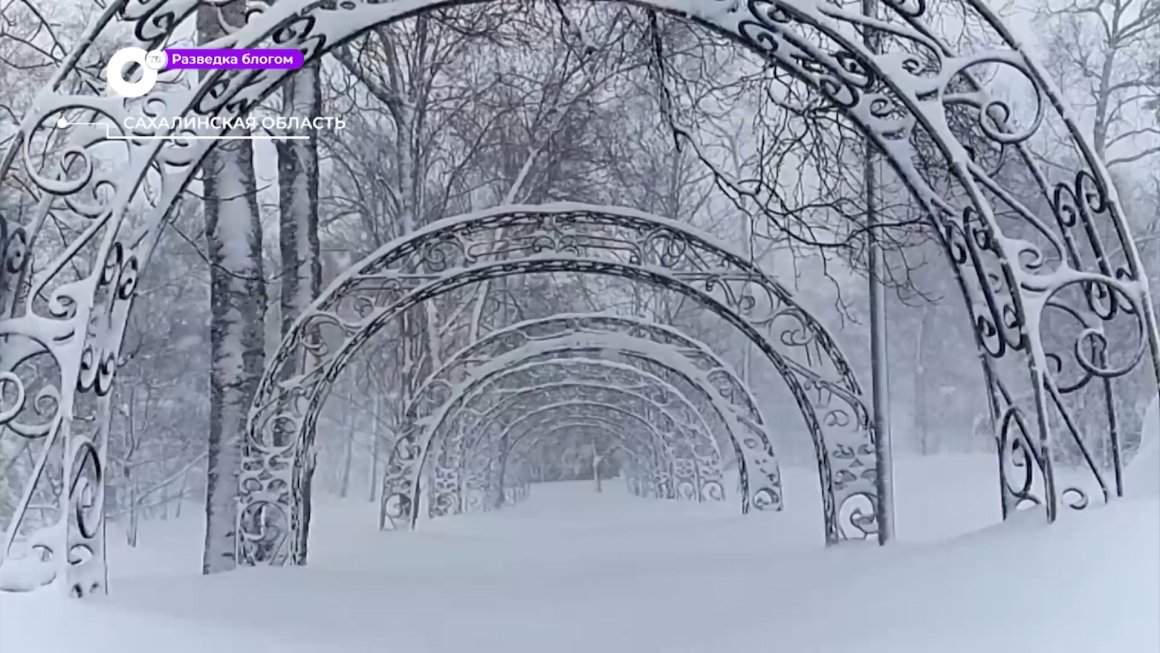 Разведка блогом / Необъятный Сахалин / 28.12.22