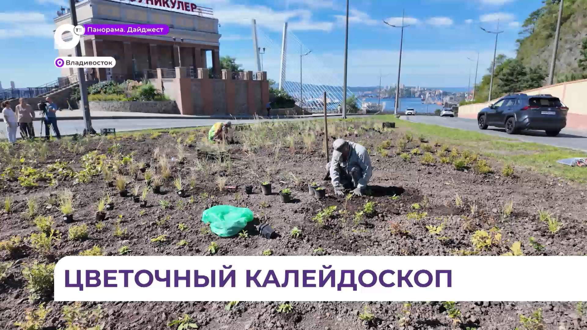 Цветочный калейдоскоп распускается на верхней площадке фуникулёра во Владивостоке