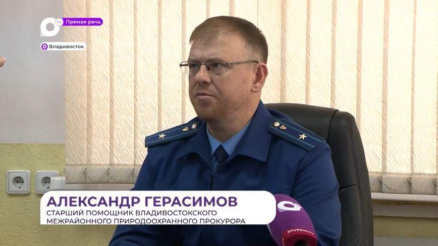 Прямая речь. Об ответственности на льду