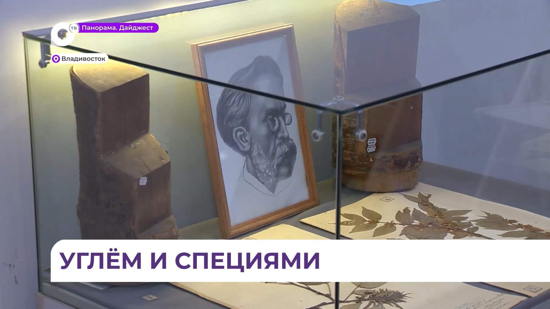 Большая программа фестиваля «Детские дни» проходит в музее имени Арсеньева